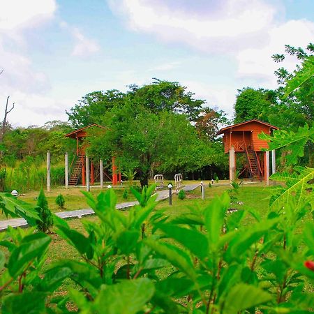Sigiri Royal Point Tree House Hotel Sigiriya Eksteriør billede