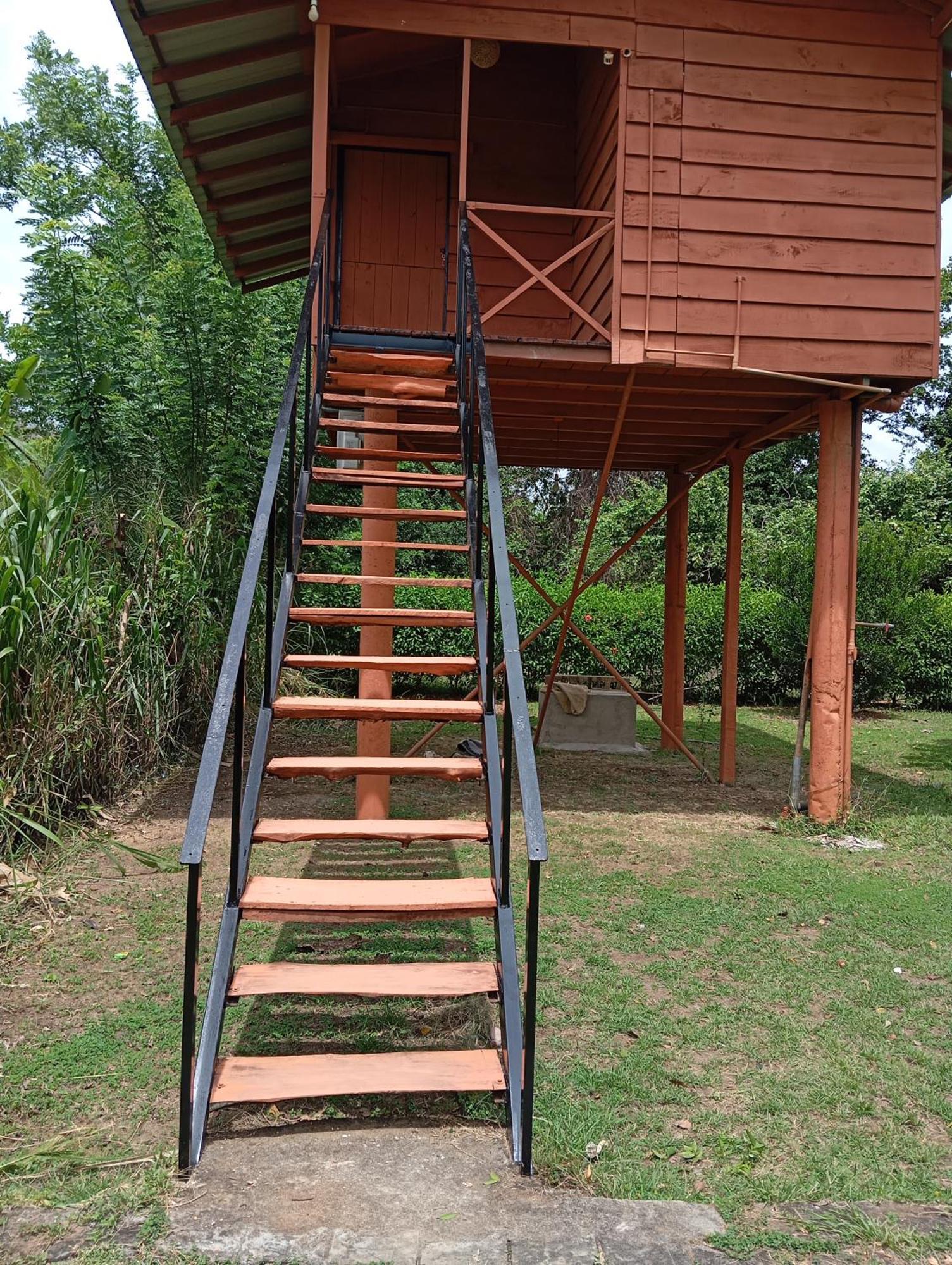 Sigiri Royal Point Tree House Hotel Sigiriya Eksteriør billede