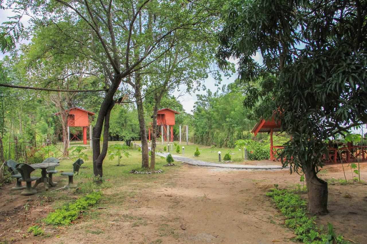 Sigiri Royal Point Tree House Hotel Sigiriya Eksteriør billede