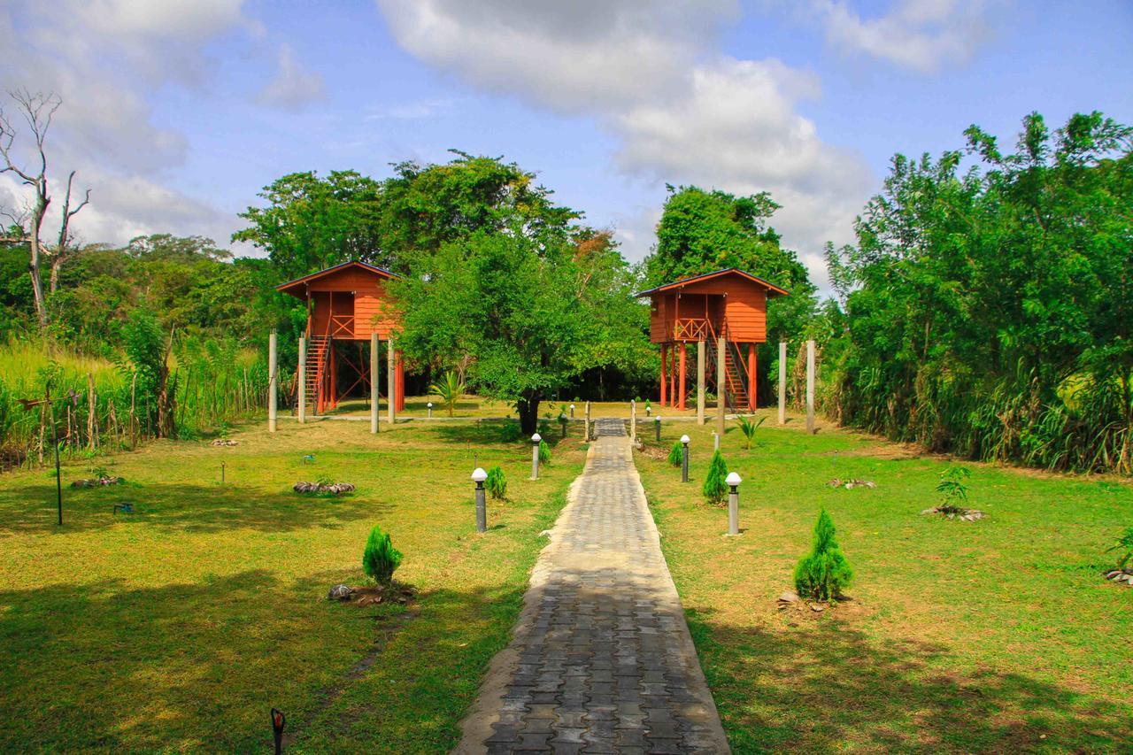 Sigiri Royal Point Tree House Hotel Sigiriya Eksteriør billede