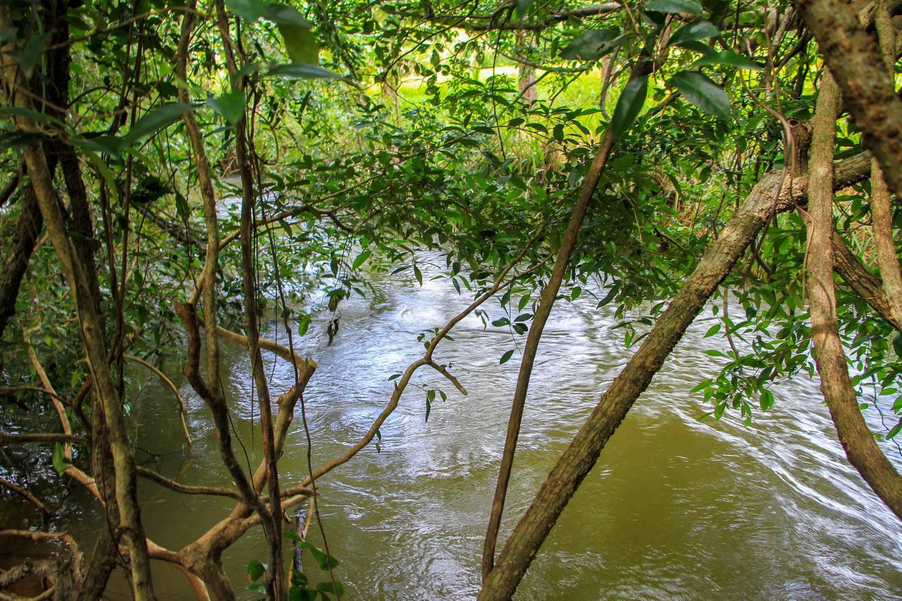 Sigiri Royal Point Tree House Hotel Sigiriya Eksteriør billede