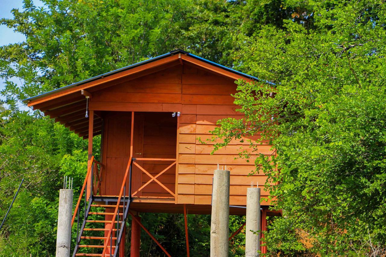 Sigiri Royal Point Tree House Hotel Sigiriya Eksteriør billede