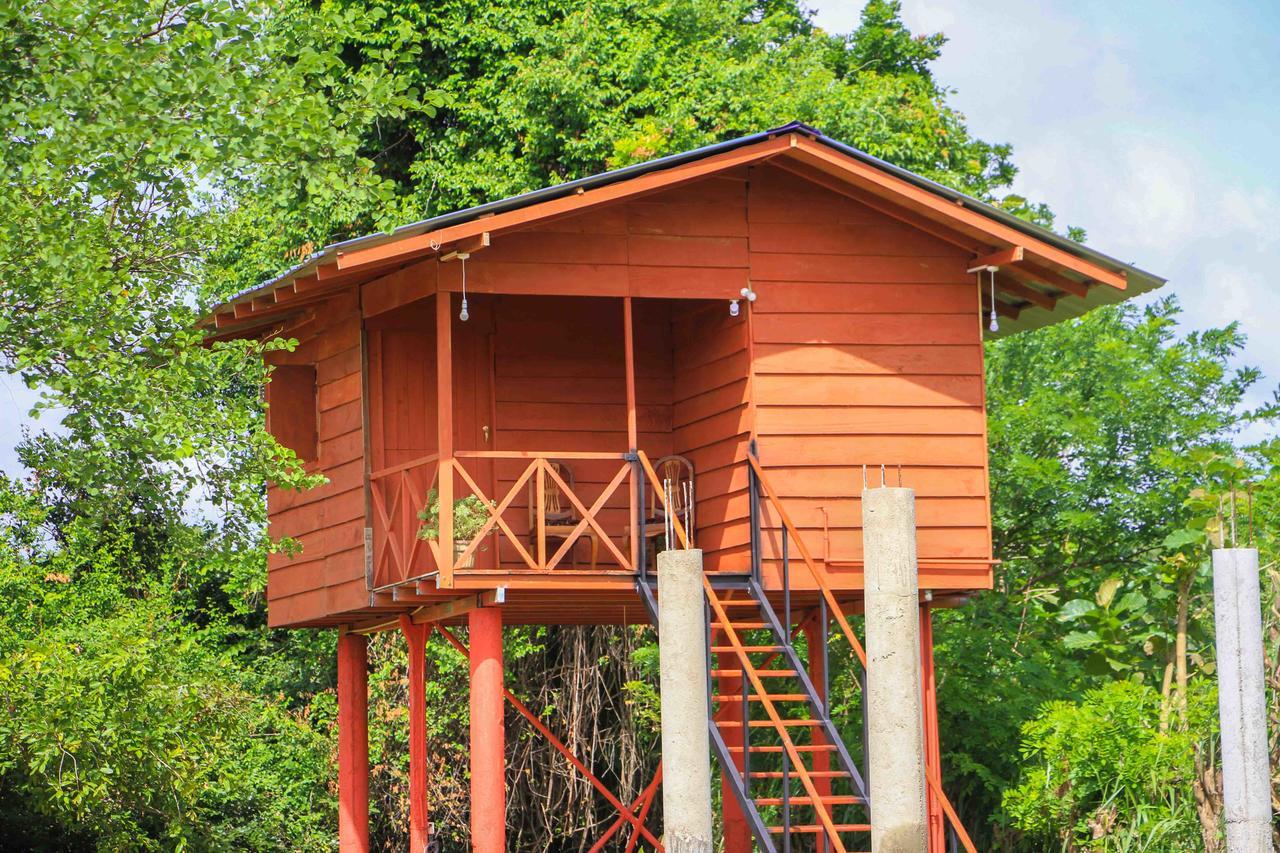 Sigiri Royal Point Tree House Hotel Sigiriya Eksteriør billede
