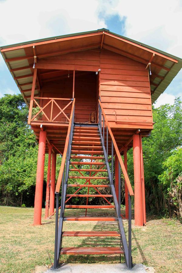 Sigiri Royal Point Tree House Hotel Sigiriya Eksteriør billede