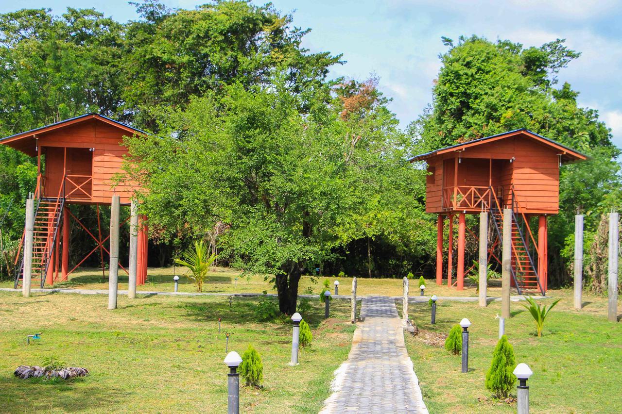 Sigiri Royal Point Tree House Hotel Sigiriya Eksteriør billede
