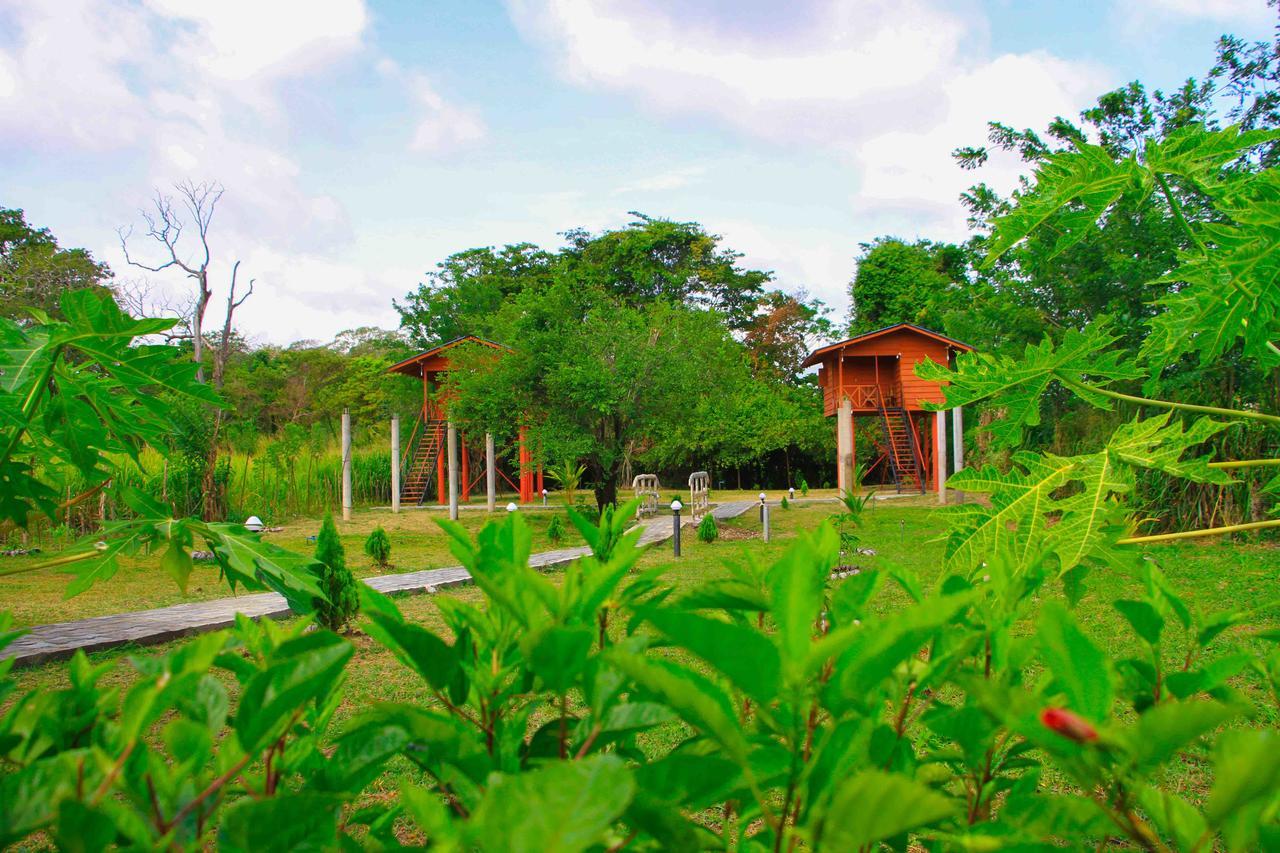 Sigiri Royal Point Tree House Hotel Sigiriya Eksteriør billede