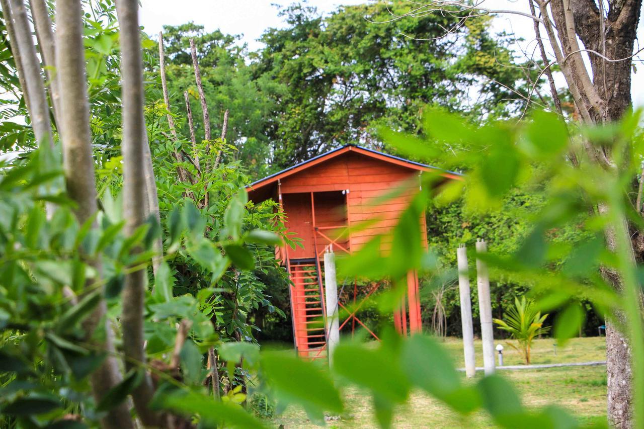 Sigiri Royal Point Tree House Hotel Sigiriya Eksteriør billede