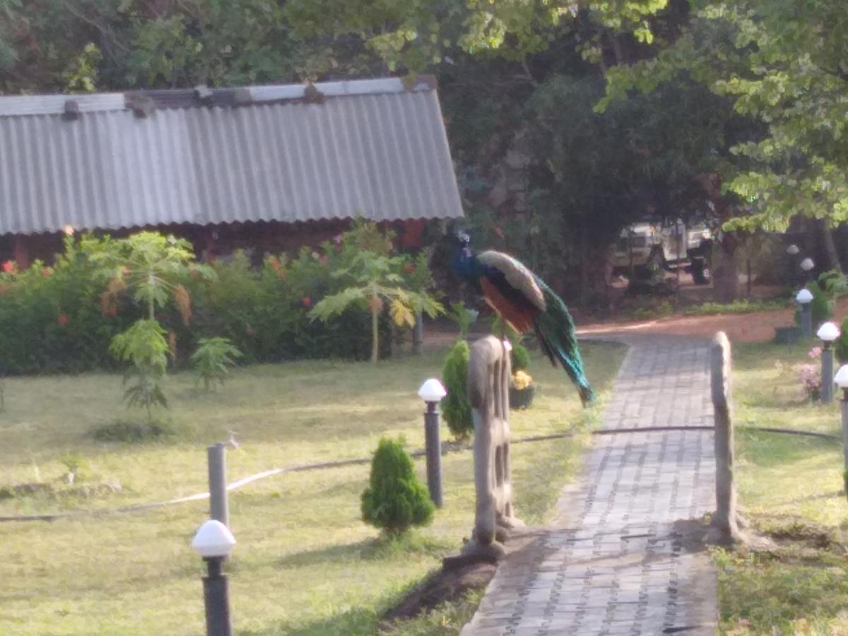 Sigiri Royal Point Tree House Hotel Sigiriya Eksteriør billede