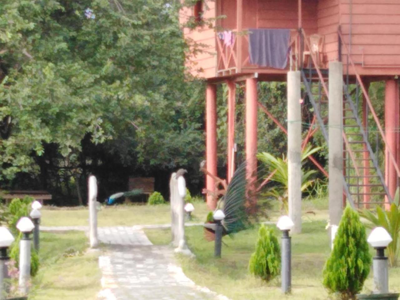 Sigiri Royal Point Tree House Hotel Sigiriya Eksteriør billede